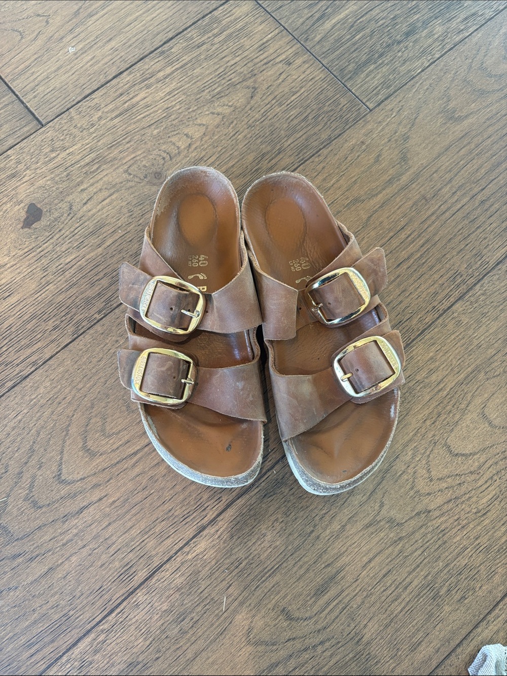 Birkenstocks, Arizona big buckle gold hardware 40